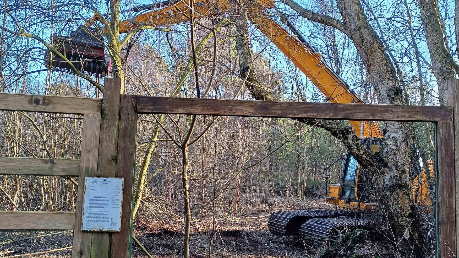 Mit den Baggern rückt auch das Ende der Kranichschanze in Glinstedt näher.