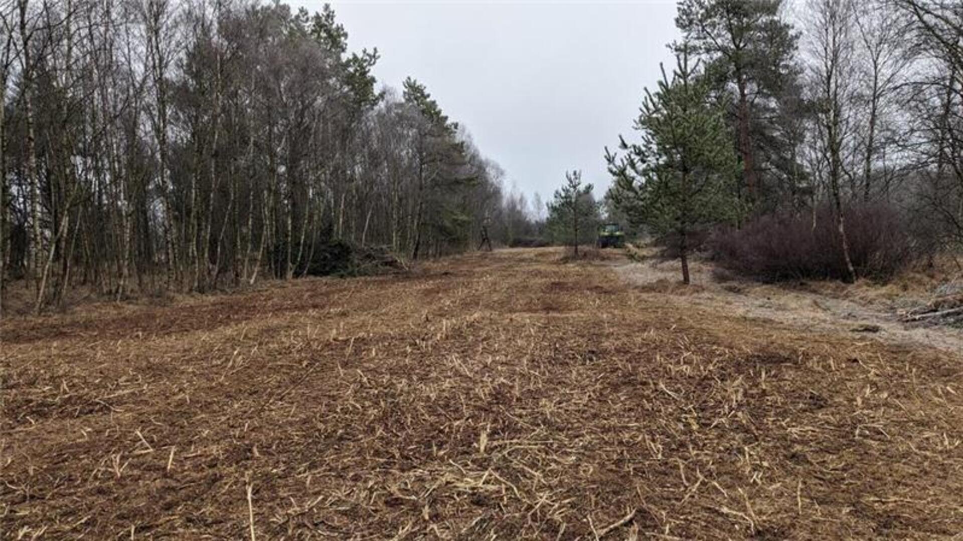 Nach dem Abräumen des Mulchgutes kann wieder Luft und Licht an den Boden und es werden optimale Bedingungen für ein Aufkommen typischer Wiesenpflanzenarten geschaffen.