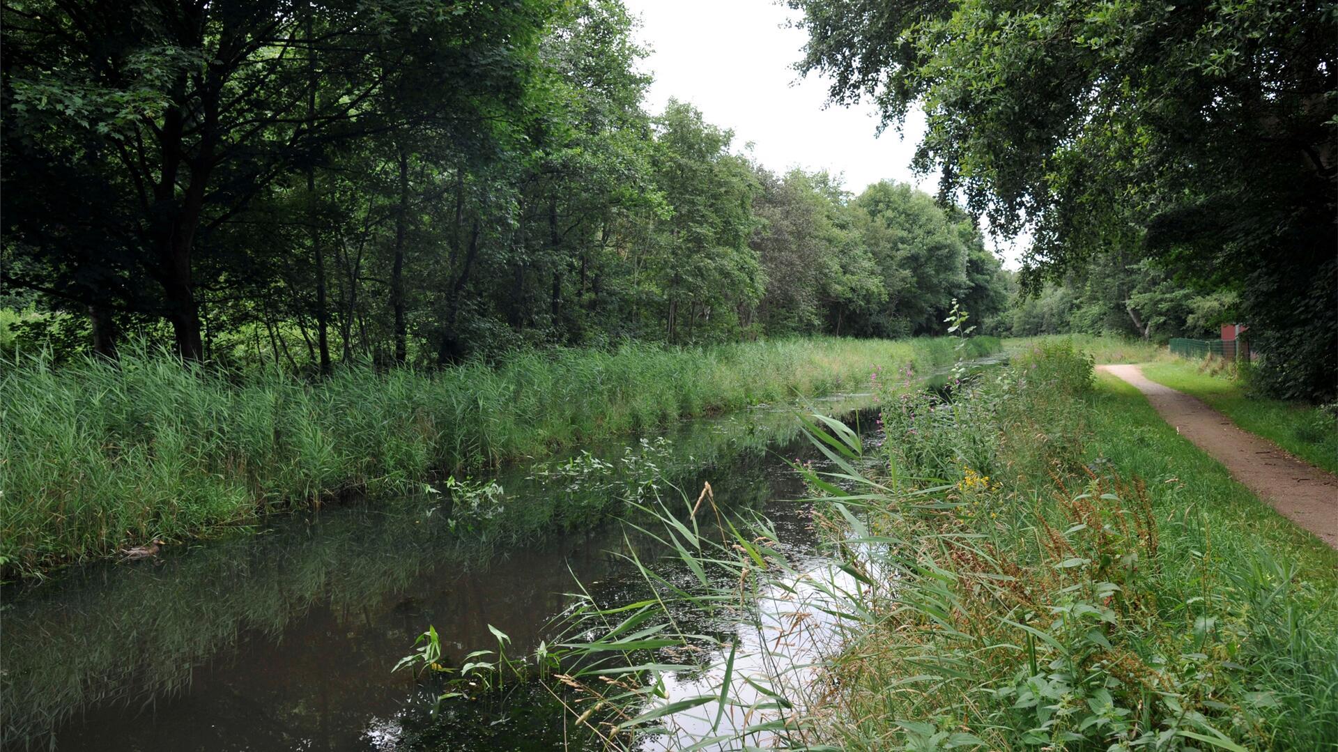 Das Foto zeigt den Fluss Neue Aue in Bremerhaven. Nachdem Unbekannte weiße Farbe in den Regenwasserkanal geleitet haben, ermittelt die Polizei in Speckenbüttel wegen einer auffälligen Verschmutzung der Neuen Aue.