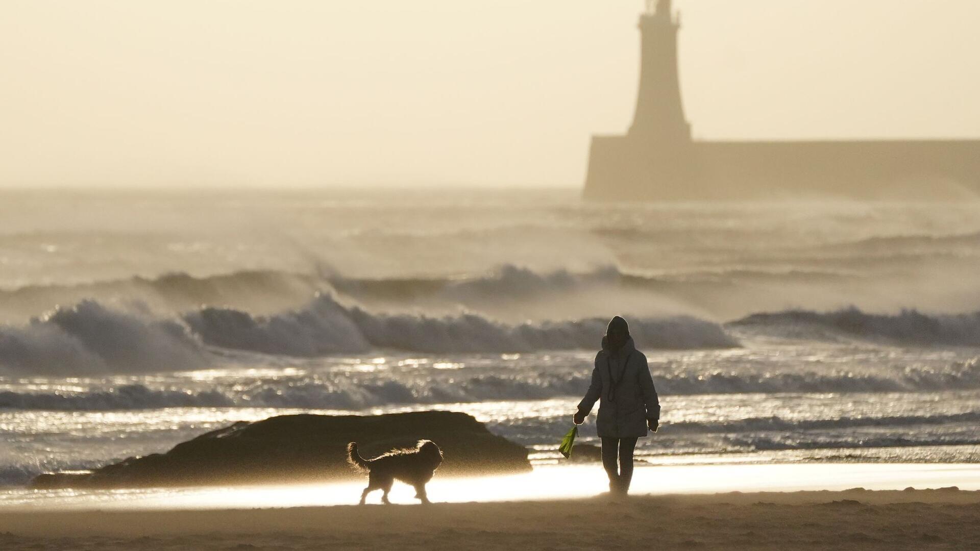Ein Hund läuft am Strand neben seinem Besitzer.
