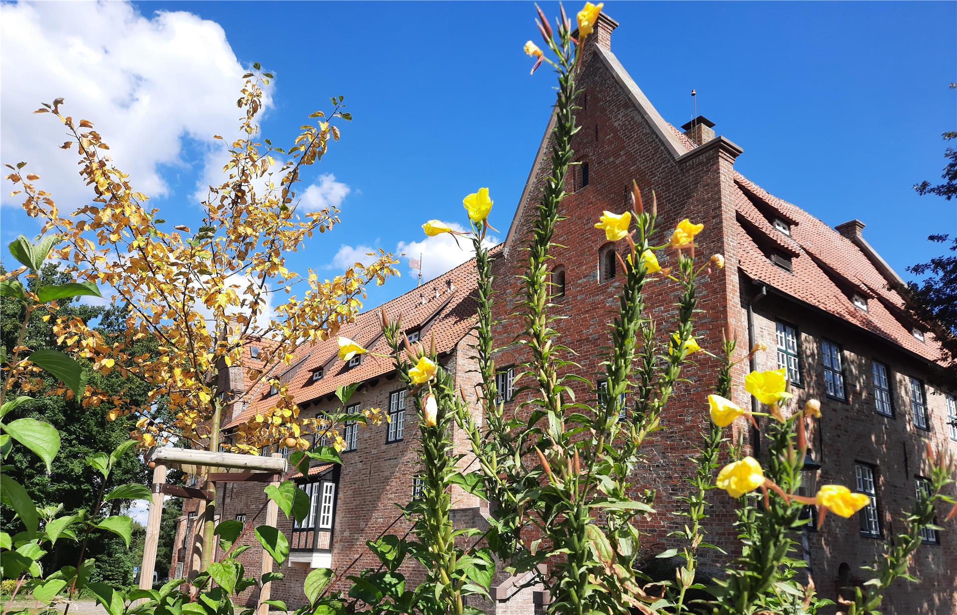 Blick auf die Burg Bederkesa mit rotem Ziegeldach an einem sonnigen Tag, im Vordergrund gelbe Blüten.