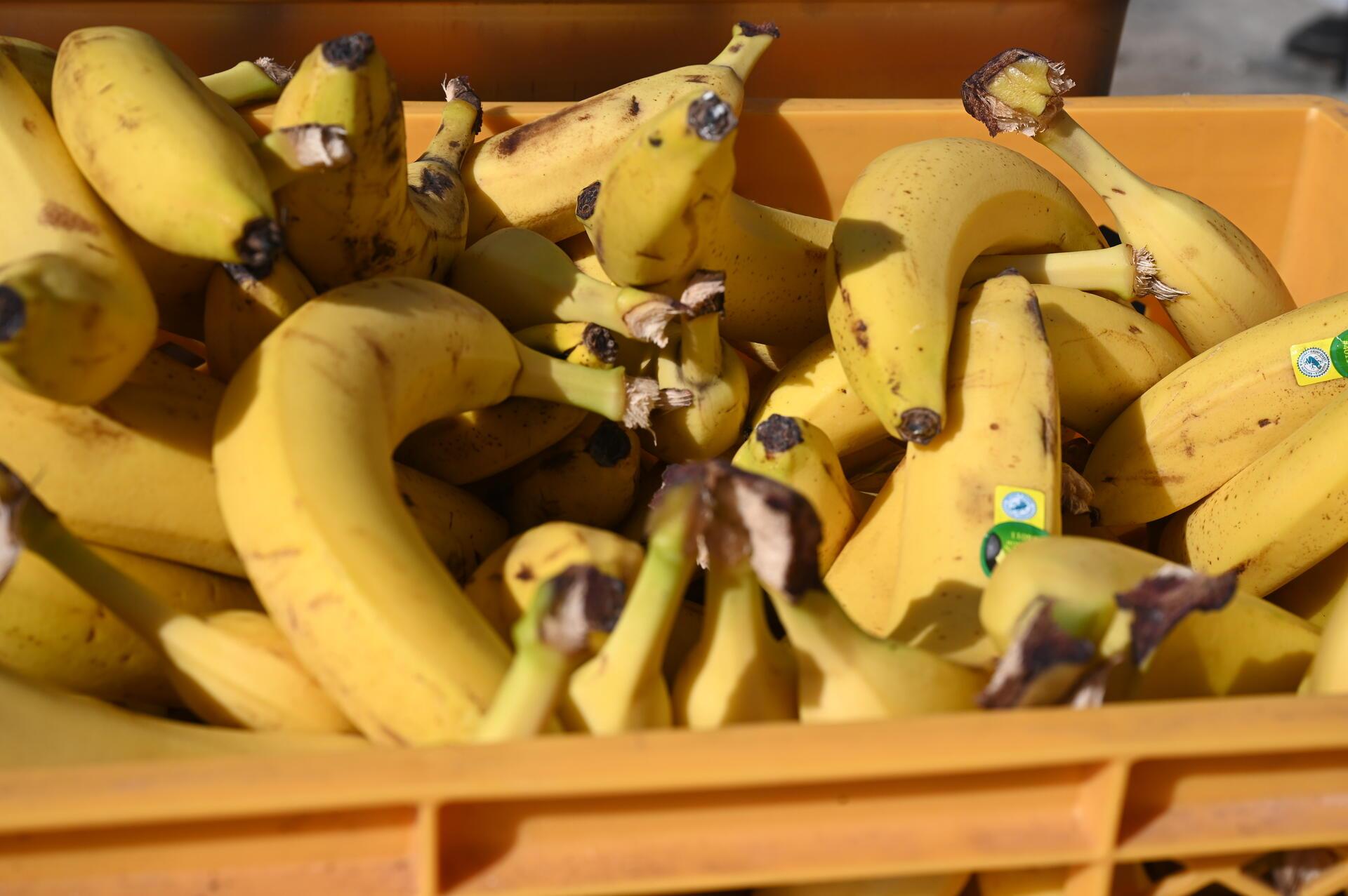 Obst und Getränke sorgen für schnelle Regeneration.