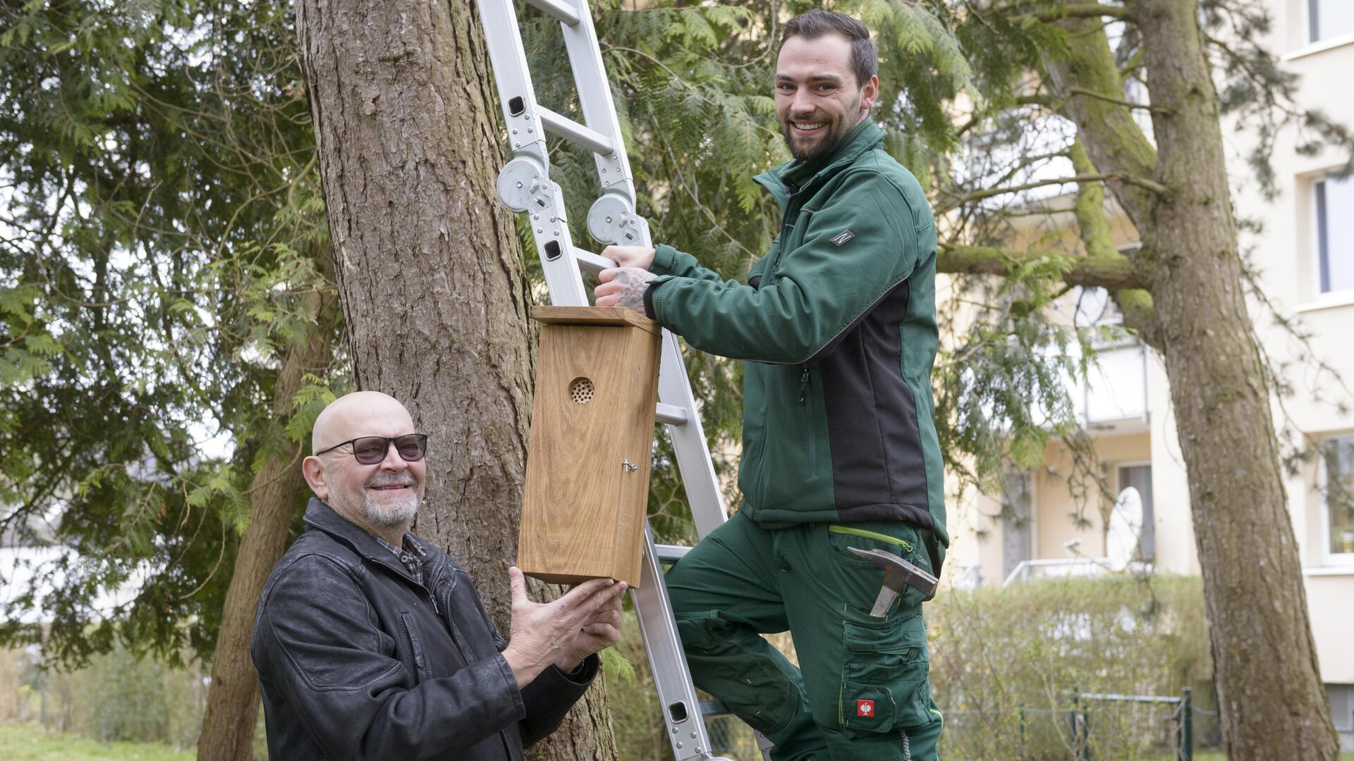 Zwei Männer befestigen gemeinsam einen Nistkasten an einem Baum. Einer steht auf einer Leiter und lächelt in die Kamera, der andere hält den Kasten fest. Im Hintergrund sind Bäume und ein Wohnhaus zu sehen.