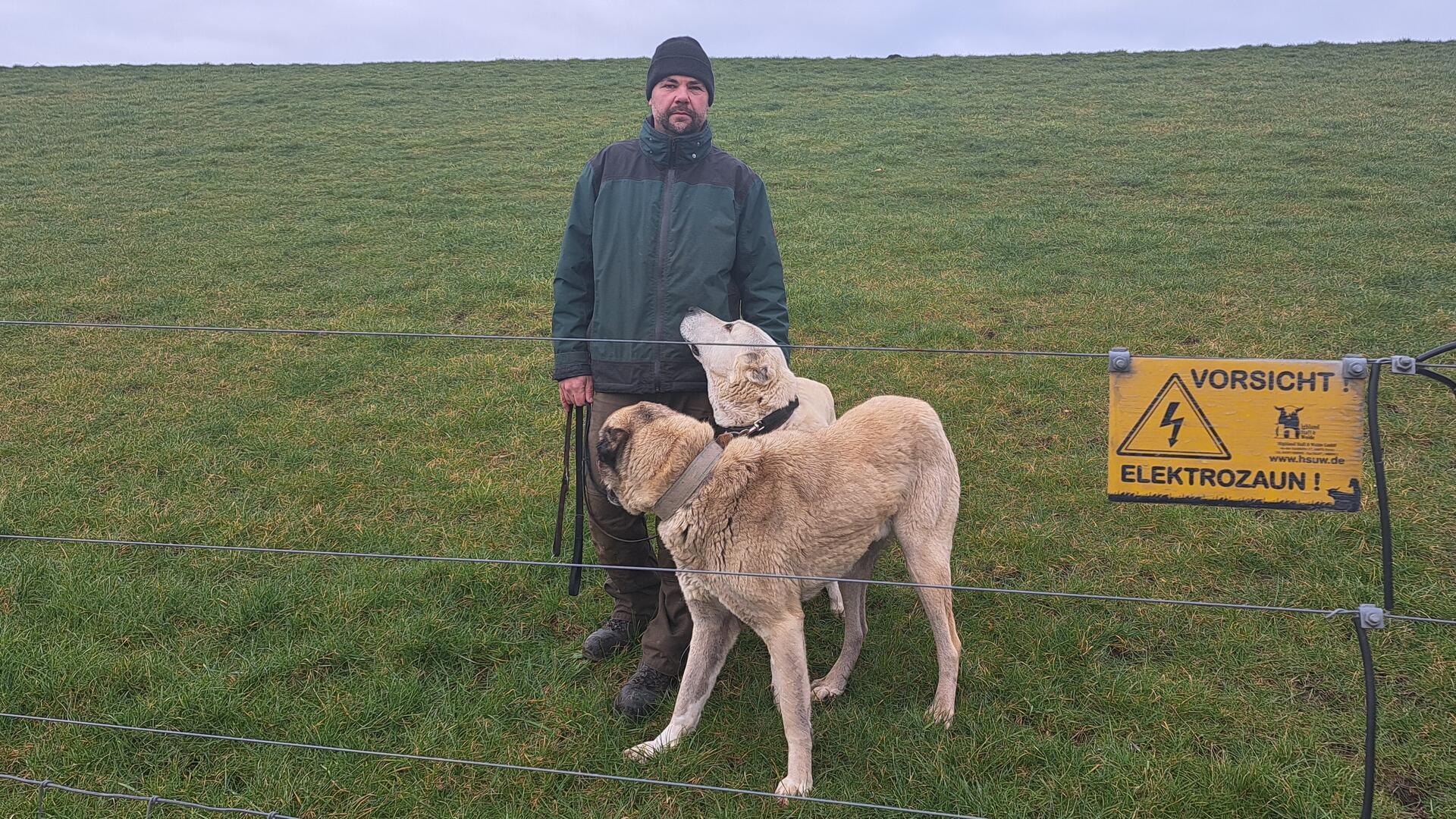 René Krüger mit zwei seiner Herdenschutzhunde auf dem Deich bei Wersabe. 