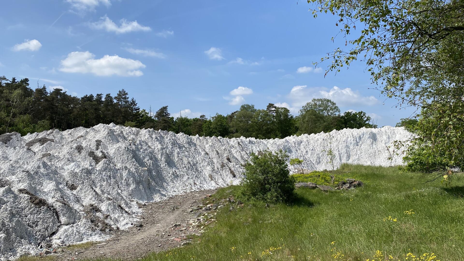 Rest der rekultivierten Rückstandshalde des ehemaligen Kaliwerks „Aller-Nordstern“ in Groß Häuslingen – ein stilles Zeugnis vergangener Bergbauzeit.