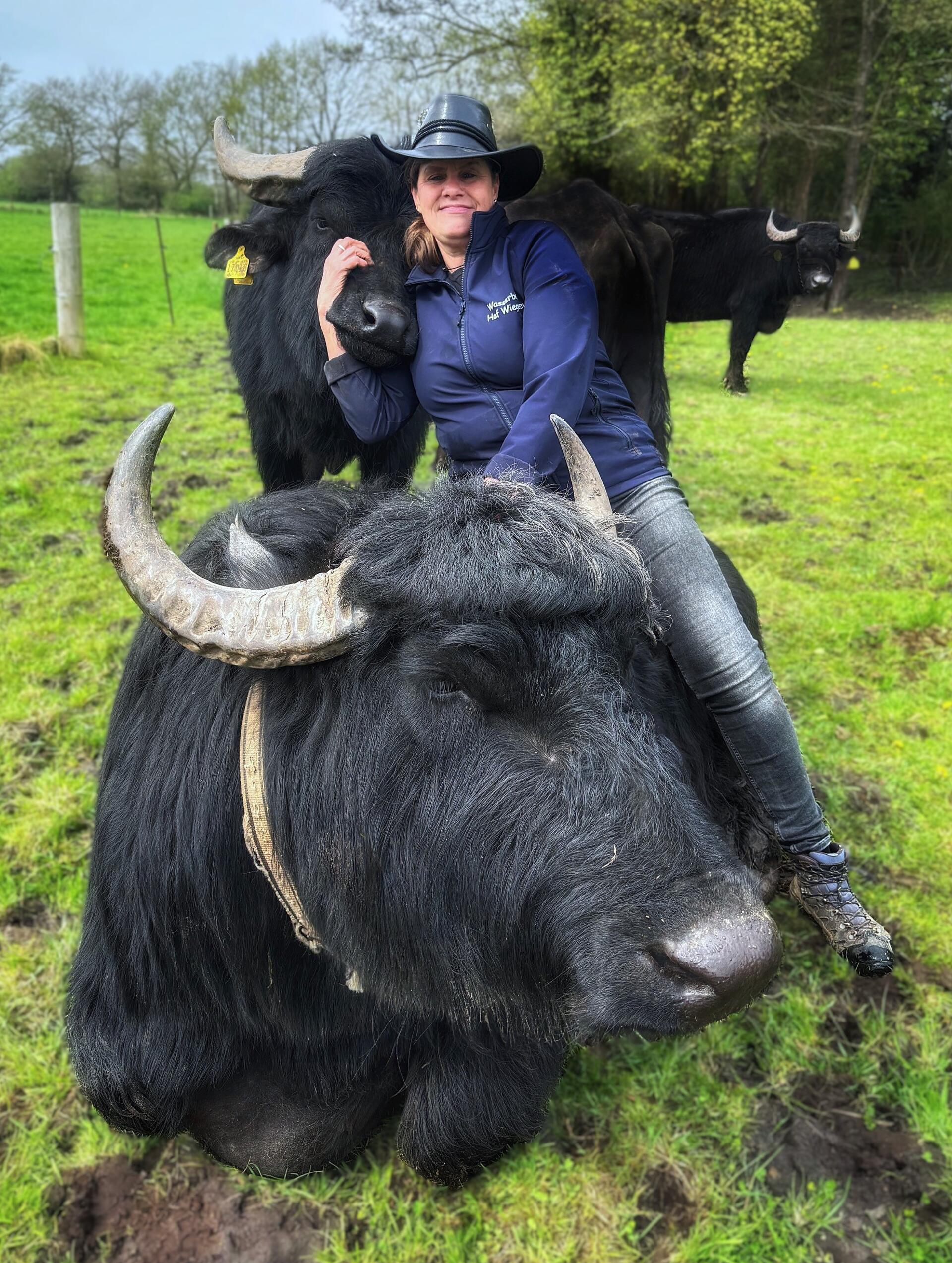 Eine Frau und zwei Wasserbüffel. Sabine Rademacher und ihre Büffel Alfonso und Helena (liegend). Die Tiere stehen das ganze Jahr über auf der Weide.