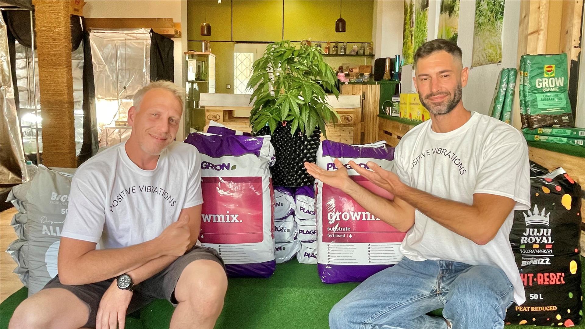 Zwei Männer vor einer Cannabis-Pflanze.