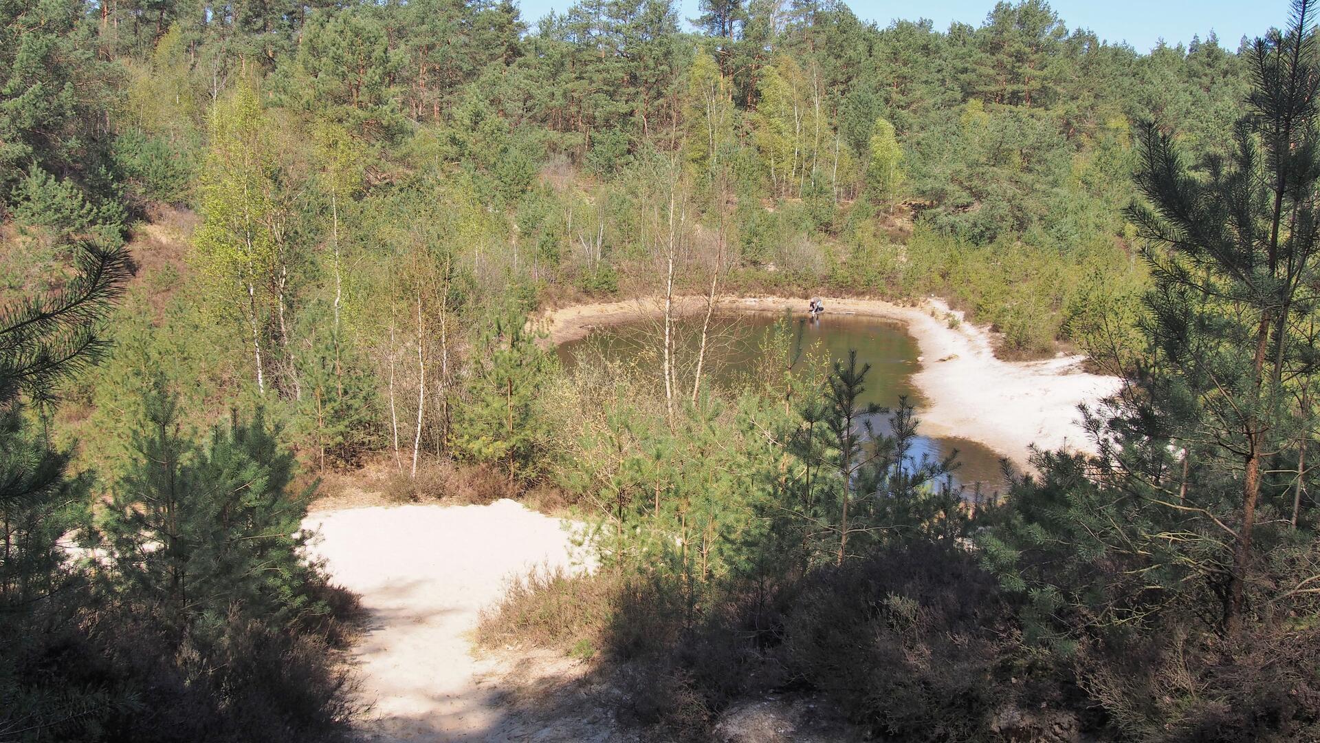 Sehr idyllisch: Sie Sandkuhle im Steinfelder Holz.