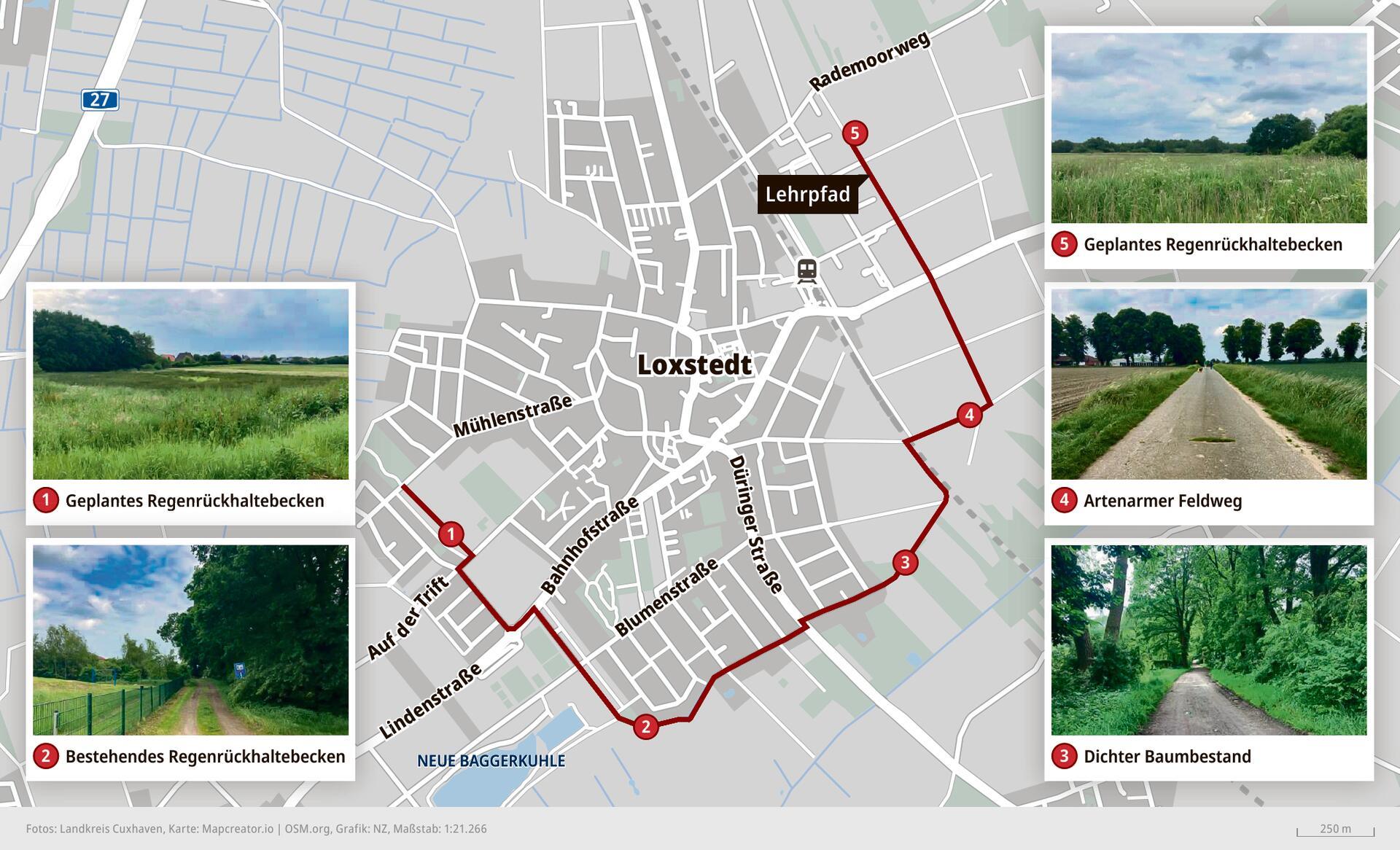 So könnte das "Grüne Wasserband", das mit Hilfe des Pilotprojektes in Loxstedt geschaffen werden soll, eines Tages mal aussehen. Karte: Landkreis/Grafik Gausmann