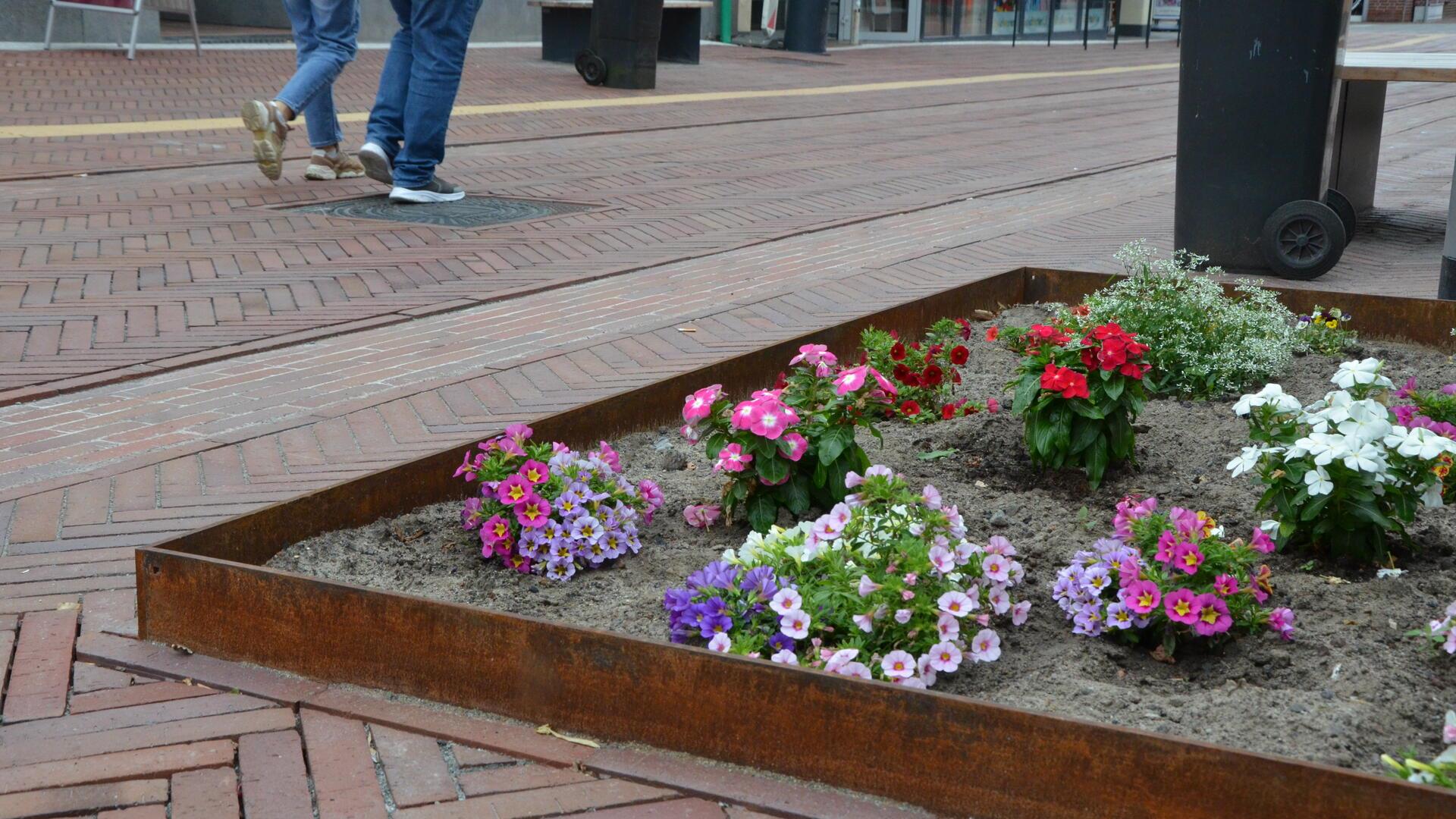 Sorgten für heftige Kritik: die Einfassungen der Pflanzbeete in der Brunnenstraße.
