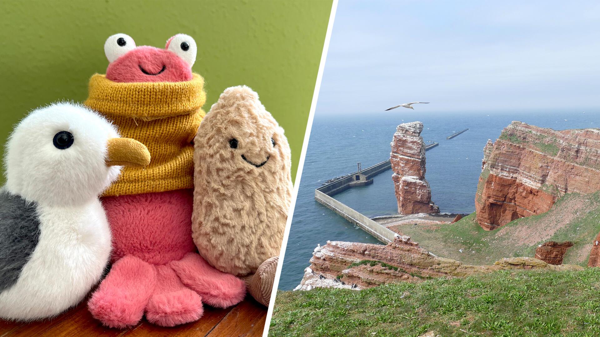 Geteiltes Bild: Möwe, Lobster Larry und die Erdnuss/ ein Felsen von Helgoland. Hier gibt es die gehypten Tiere schon lange.