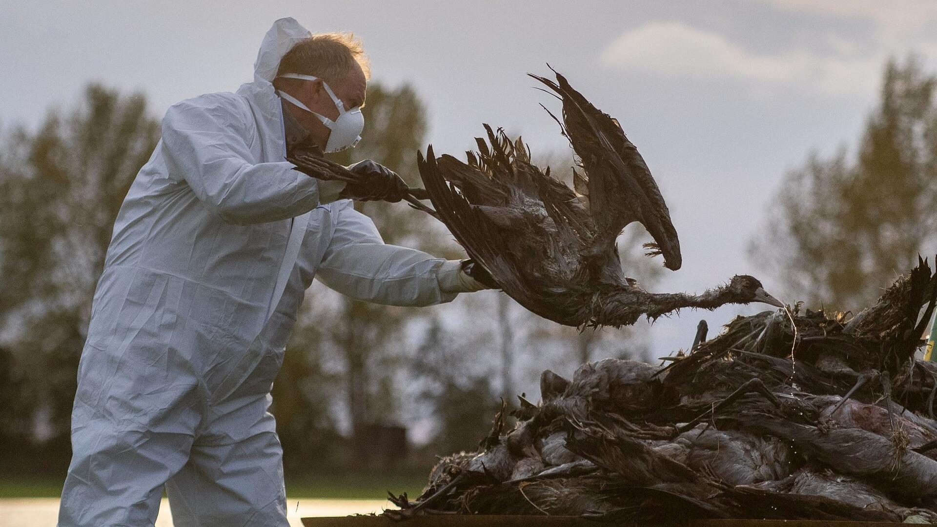 Szenen, wie sie etwa in Brandenburg in den vergangenen Tagen schon zu sehen waren, drohen jetzt auch im Landkreis Cuxhaven.