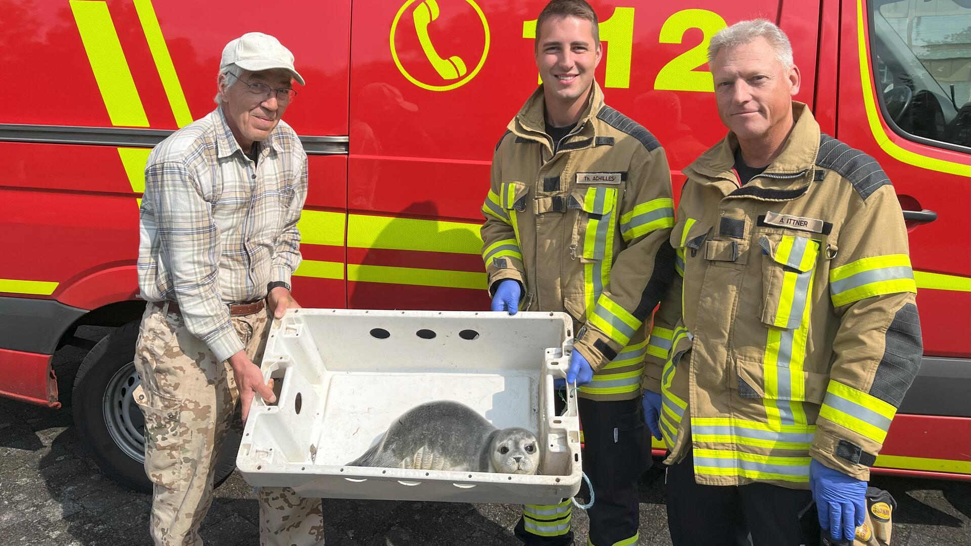 Feuerwehr Bremerhaven im Rettungseinsatz für Seehundbaby Drei Männer posieren mit einer Plastikwanne, in der ein Seehundjunges liegt.
