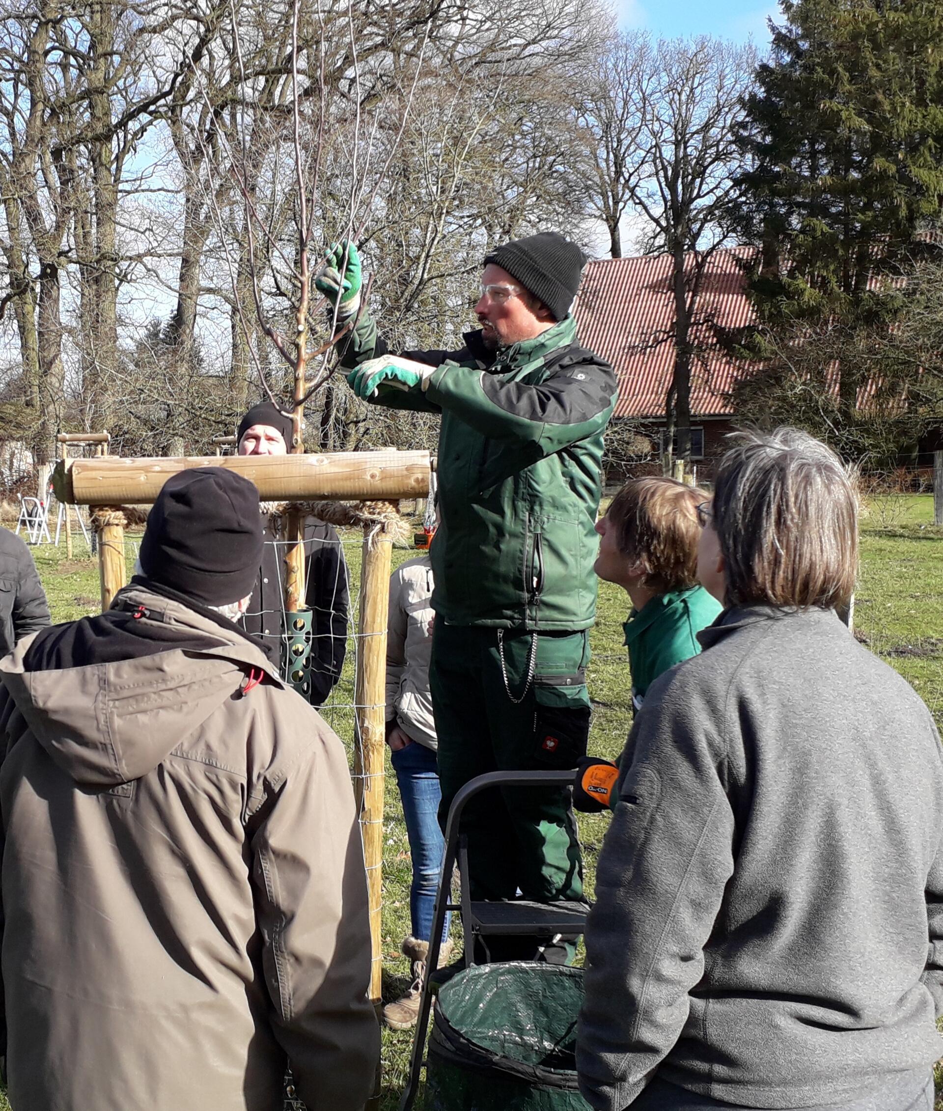Torsten Brunkhorst zeigt den Teilnehmenden direkt am Baum, worauf es ankommt. 