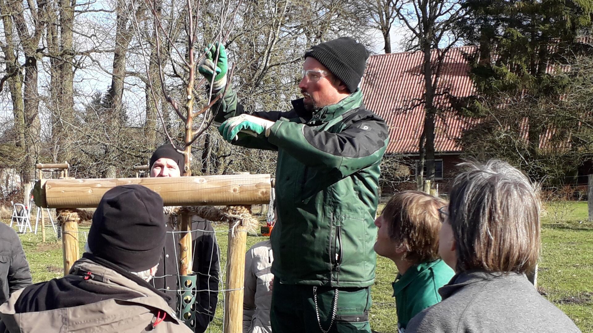 Torsten Brunkhorst zeigt den Teilnehmern direkt am Baum, worauf es beim Schnitt ankommt.