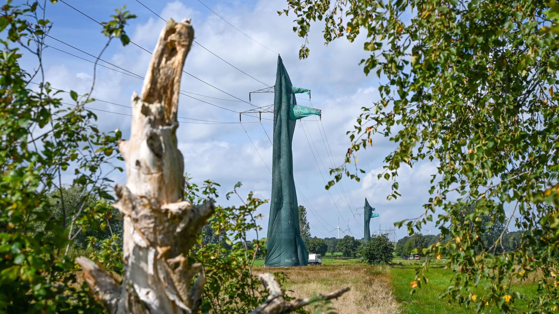 im Vordergrund ein toter Stamm, im Hintergrund ein verhüllter Strommast
