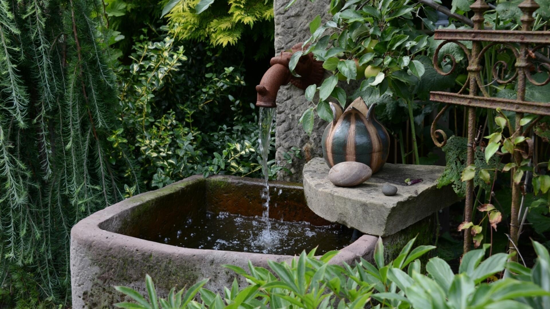 Vielfältige Garteneindrücke und persönliche Tipps erwarten Besucher am 1. Juni in den Gärten in Hemslingen und Söhlingen. Das Foto zeigt den Garten von René Schönfeld