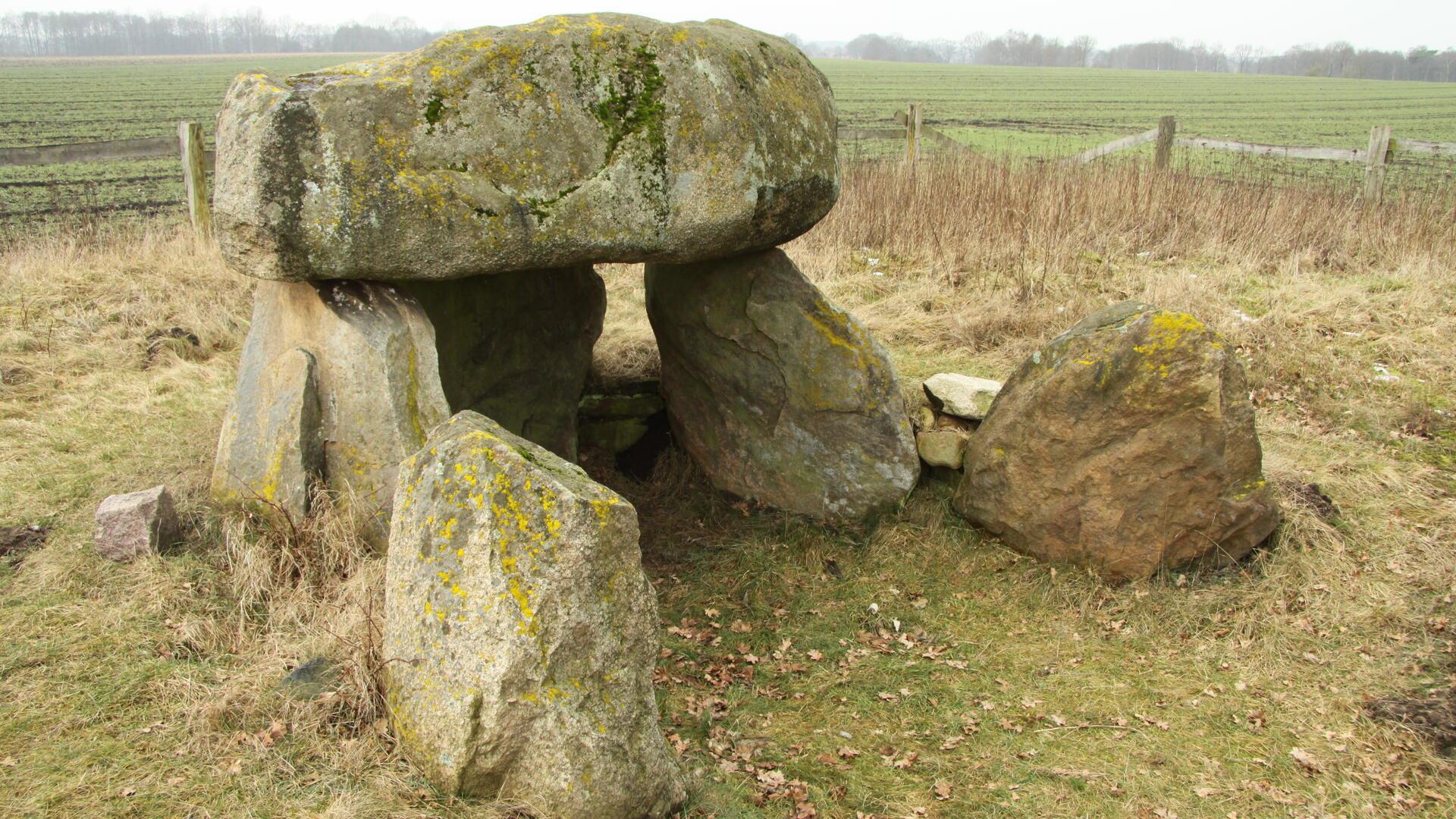 Vorgeschichtliches Grab in Steinalkenheide zwischen Badenstedt und Oldendorf – Beispiel für eine Sehenswürdigkeit in der Region