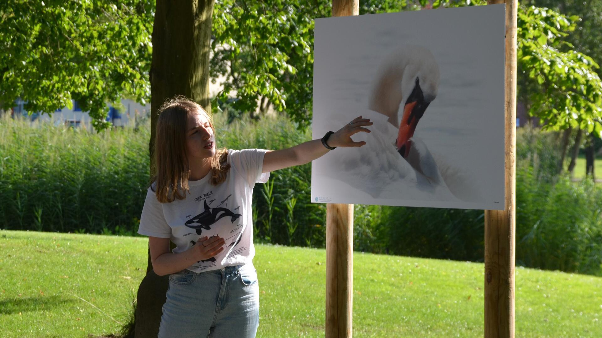 Junge Frau zeigt bei einer Outdoor-Ausstellung auf ein großformatiges Foto eines Schwans; im Hintergrund grüne Wiese und Bäume.