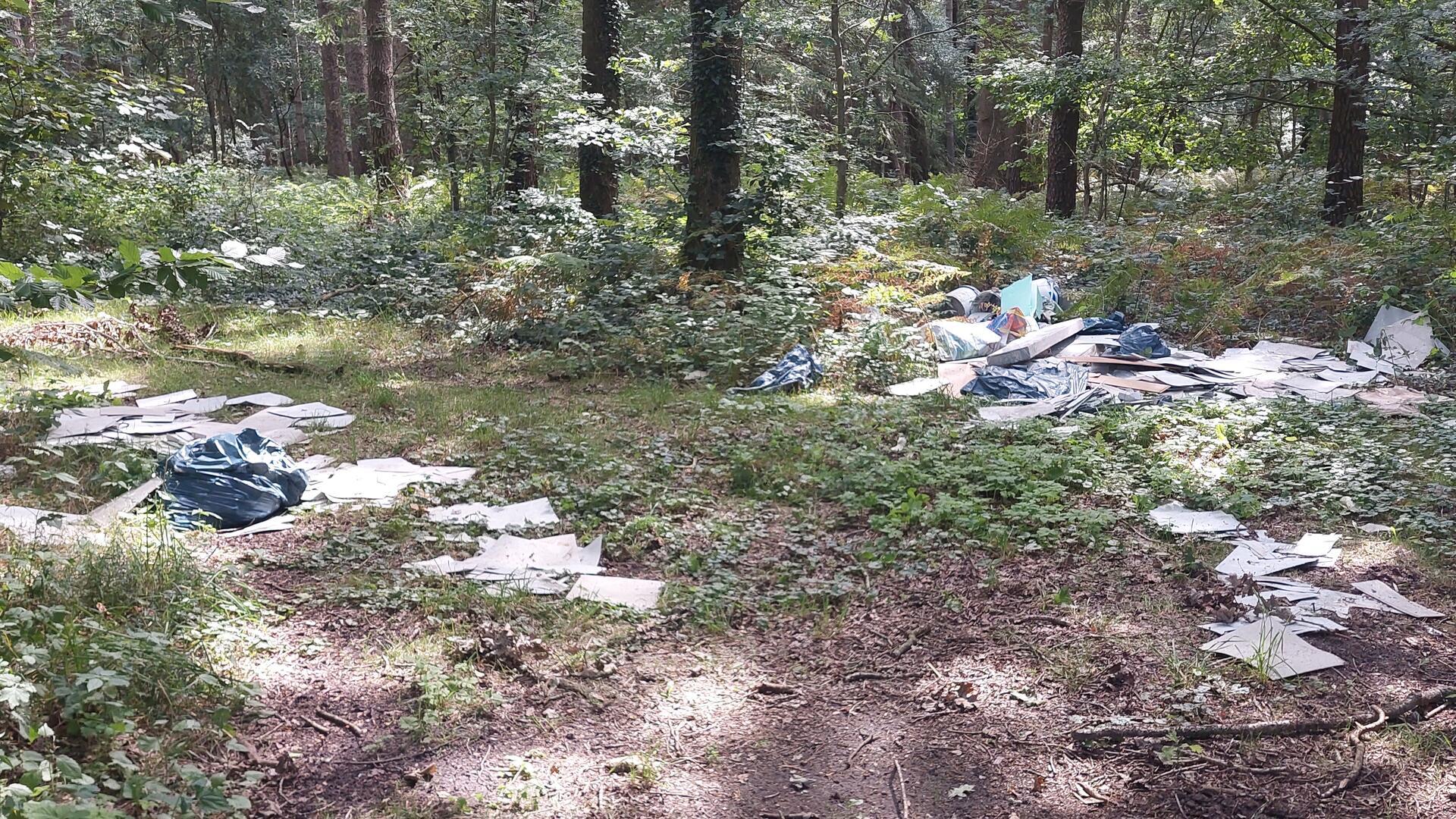 Wegen illegaler Abfallentsorgung in einem Waldstück bei Hagen ermittelt die Polizei.