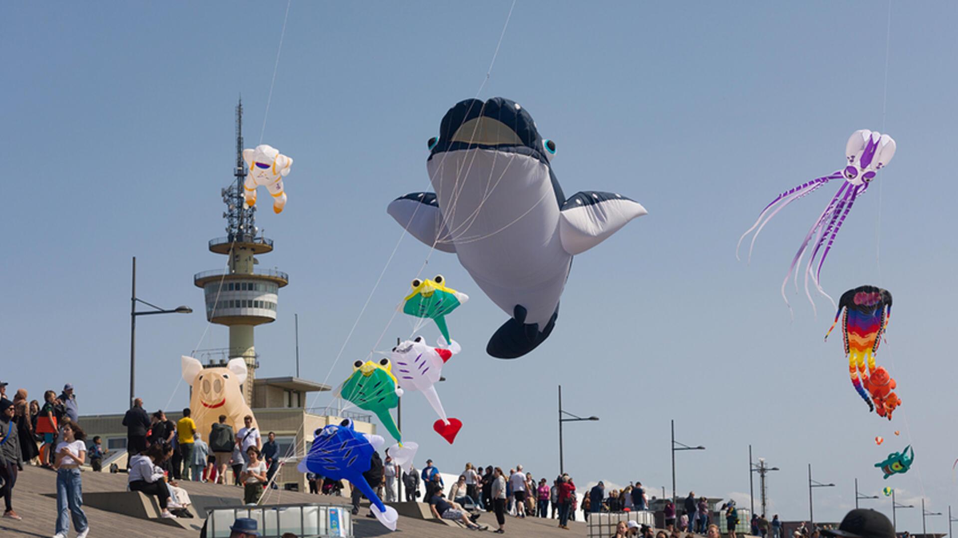 Wer sagt denn, eine Krake, Rochen und sogar ein Wal können nicht fliegen? Beim Drachenfestival in Bremerhaven funktioniert das.