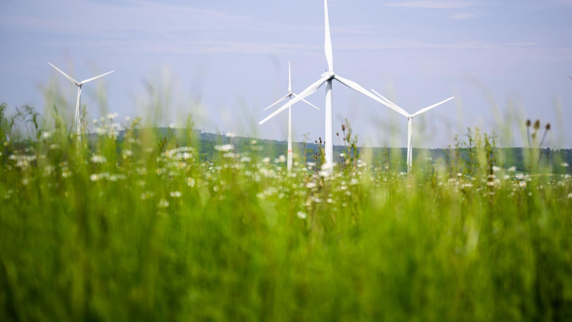 Windräder drehen sich auf einem Feld: Der Ausbau der Windenergie hat allerdings einen Haken, sagt Rotenburgs Landrat Marco Prietz.