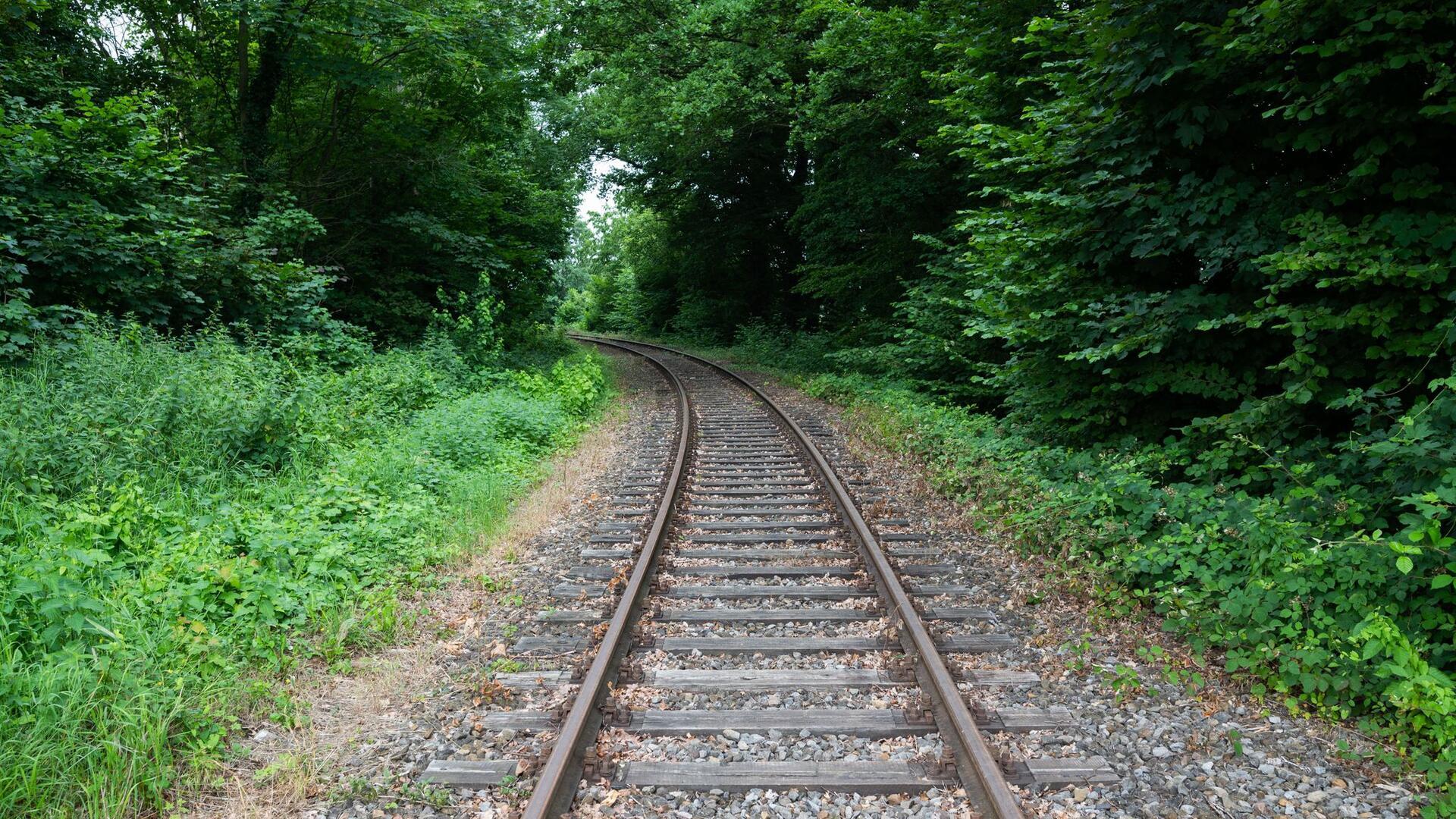 Bahngleise
