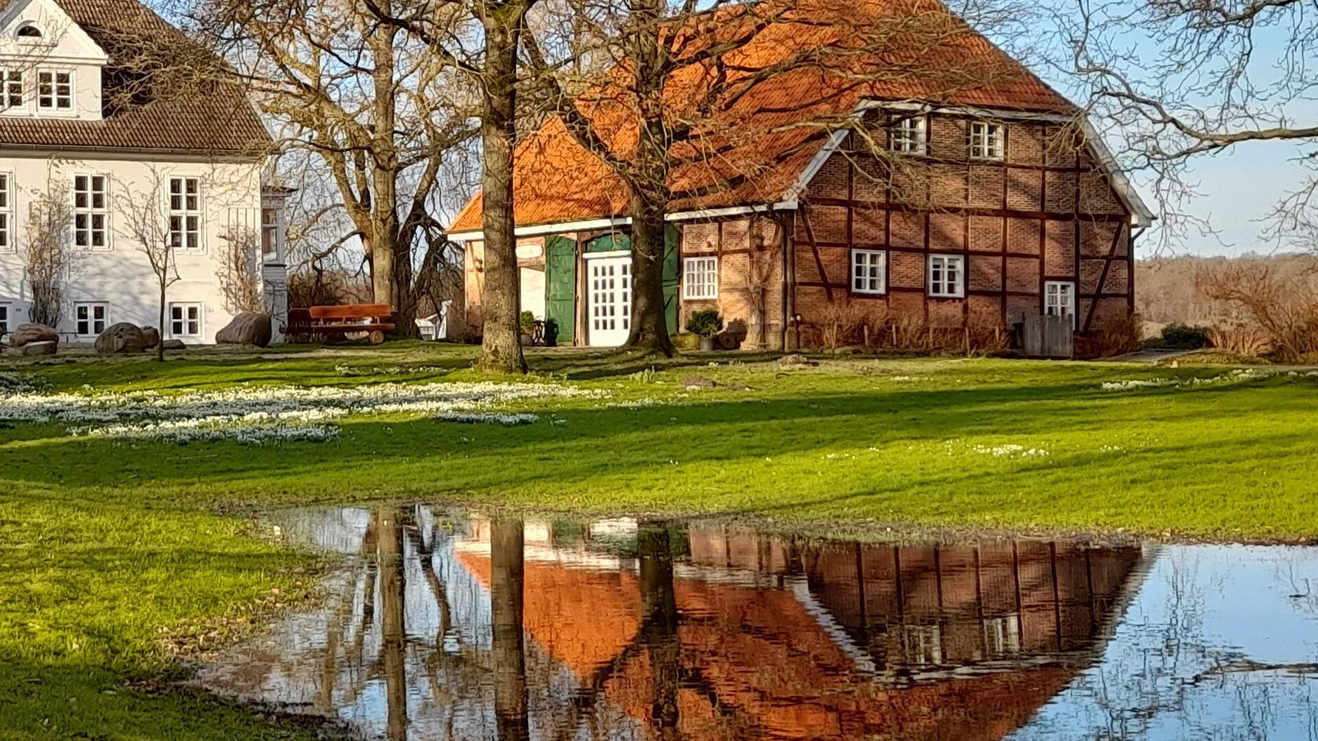 Eine Wasserlache auf einer Grünfläche vor einem Gebäude in Bad Bederkesa.
